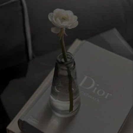  عکس های ترند برای پروفایل