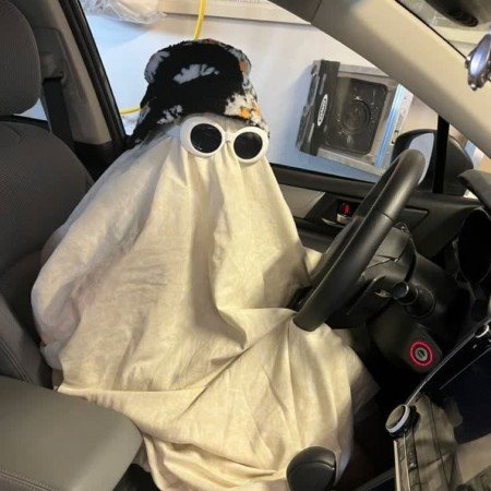  عکس های ترند شده