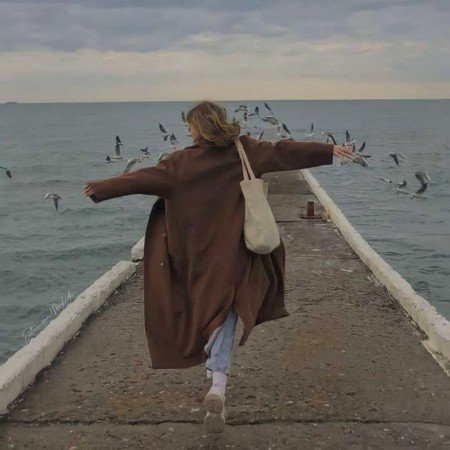  عکس های ترند شده