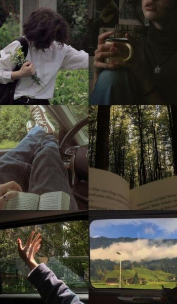  عکس های ترند شده