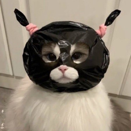  عکس های ترند تولد