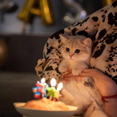  عکس های ترند تولد