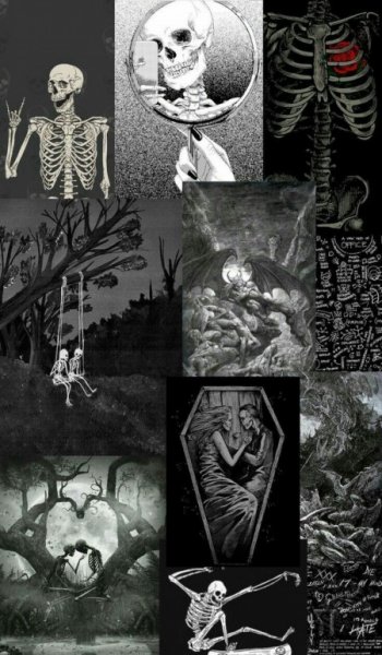  عکس های ترند اسکلت