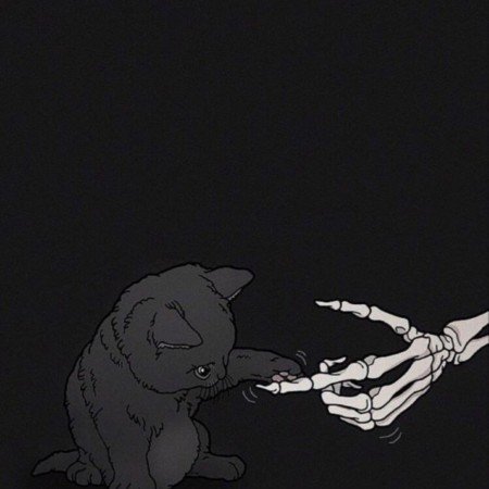  عکس های ترند اسکلت