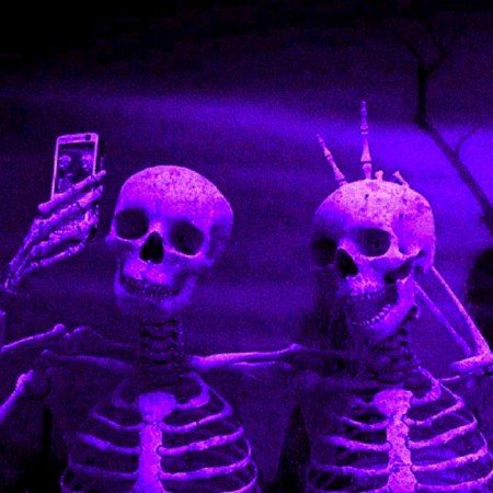  عکس های ترند اسکلت