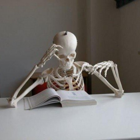  عکس های ترند اسکلت