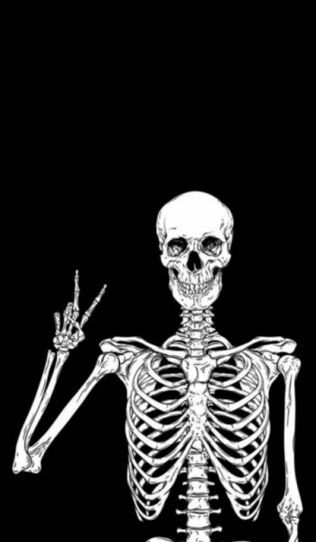  عکس های ترند اسکلت