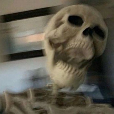  عکس های ترند اسکلت