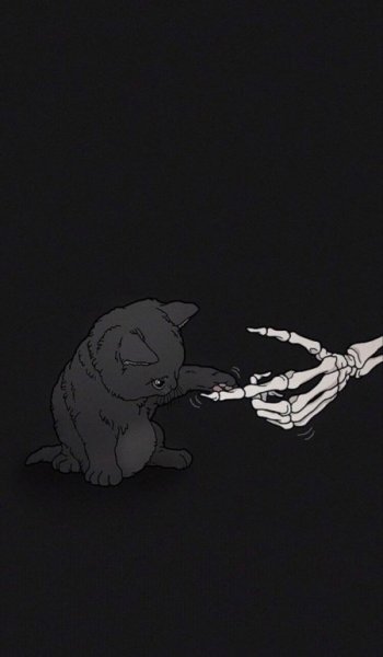  عکس های ترند اسکلت