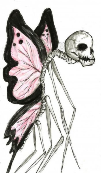  عکس های ترند اسکلت