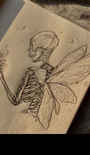  عکس های ترند اسکلت