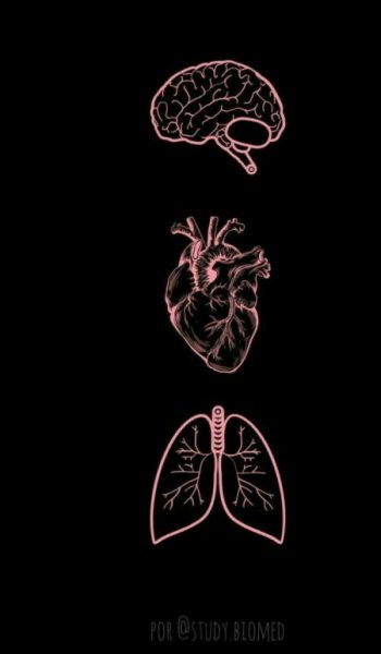  عکس اسکلت خفن ترسناک