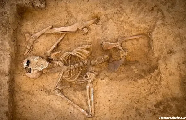  عکس اسکلت واقعی