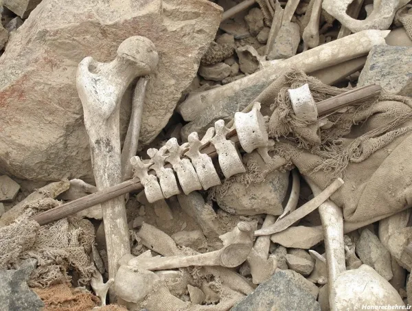  عکس اسکلت واقعی