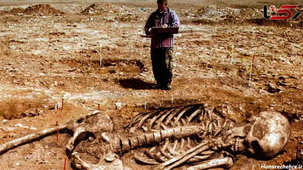  عکس اسکلت واقعی