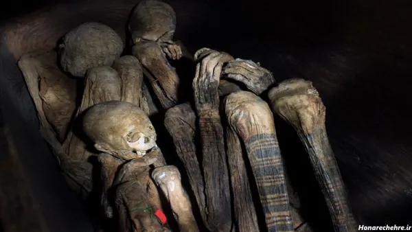  عکس اسکلت واقعی