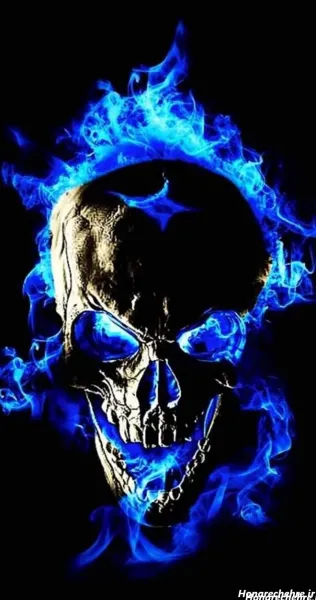  عکس اسکلت واقعی