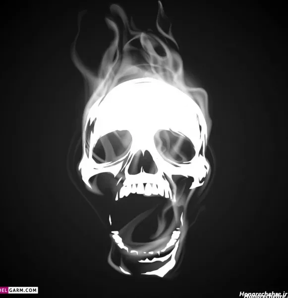  عکس اسکلت واقعی