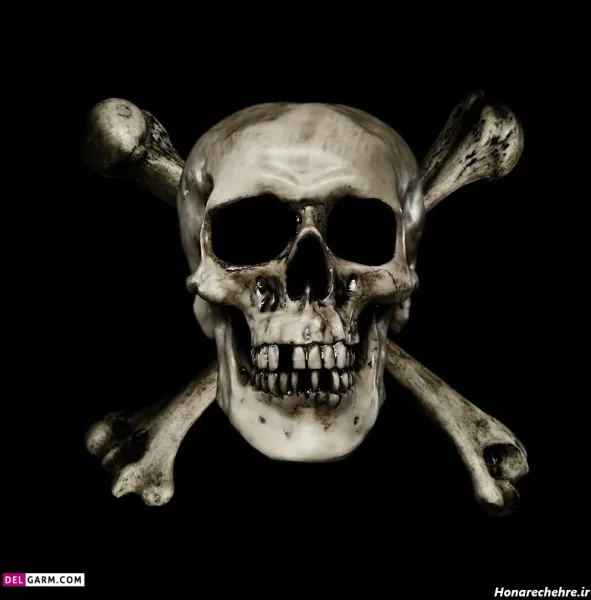  عکس اسکلت واقعی