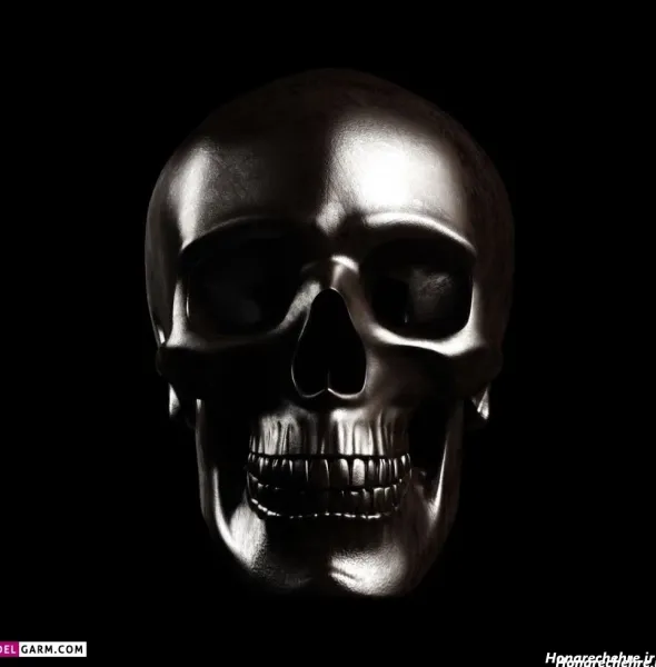  عکس اسکلت واقعی