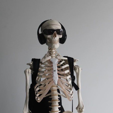  عکس اسکلت غمگین