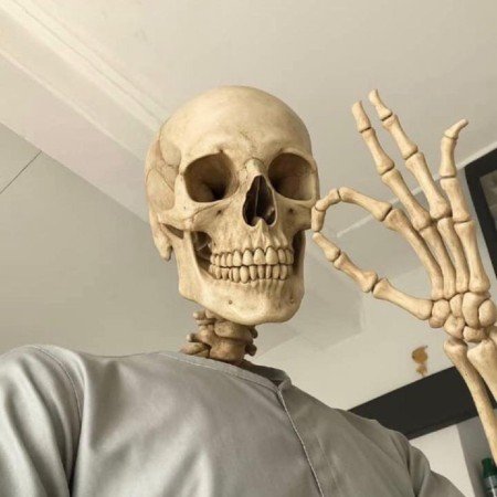  عکس اسکلت غمگین