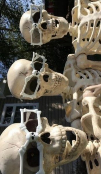  عکس اسکلت لاتی