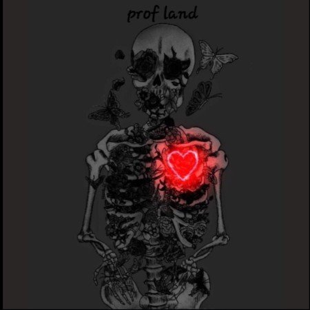  عکس اسکلت لاتی