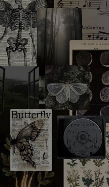  عکس اسکلت برای پروفایل