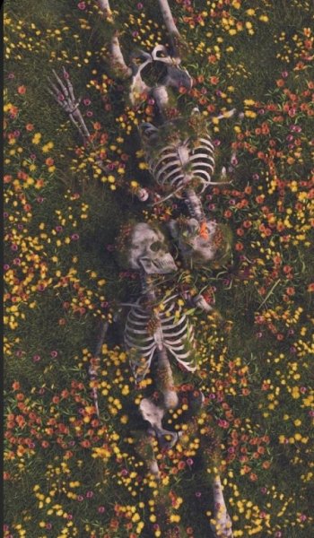  عکس اسکلت سیاه