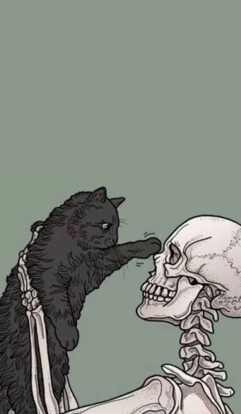  عکس اسکلت سیاه