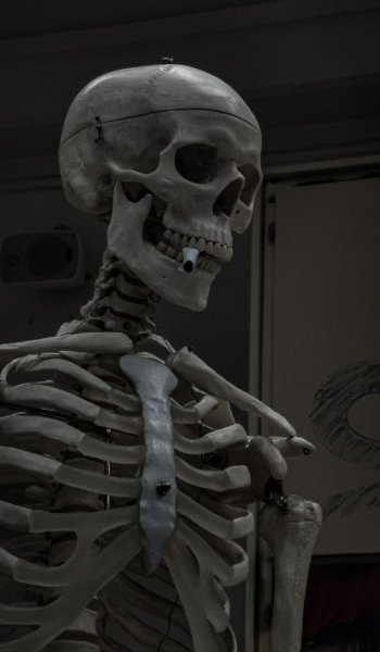  عکس اسکلت وحشی