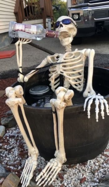  عکس اسکلت وحشی