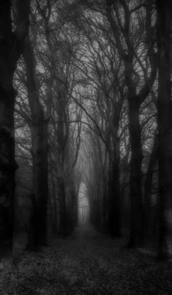  عکس ترسناک مفهومی