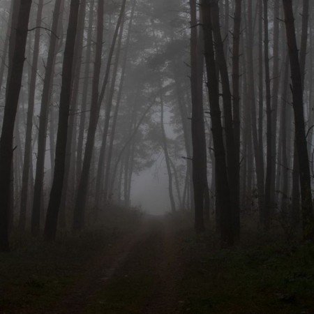  ۱۰ عکس ترسناک