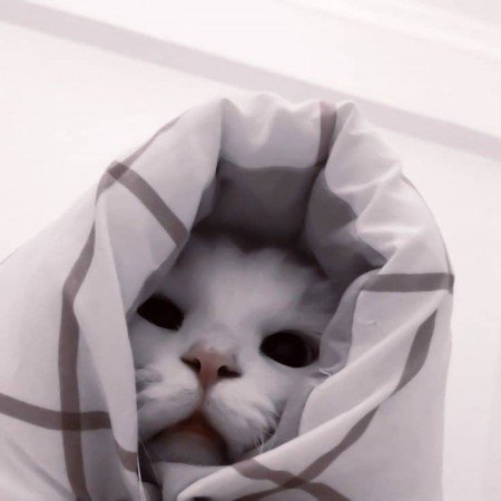  عکس های ترند برای تولد