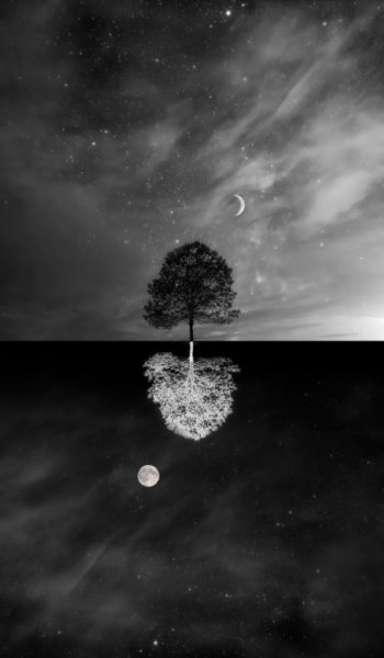  عکس های ترند برای پس زمینه