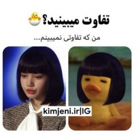  عکس بلک پینک در کنسرت جامپ