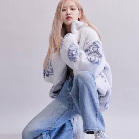  عکس کنسرت بلک پینک ۲۰۲۵