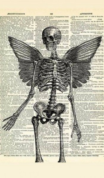  عکس های ترند برای تصویر زمینه