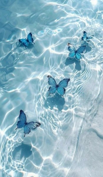  عکس های ترند برای تصویر زمینه