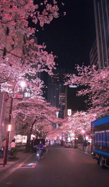  عکس تصویر زمینه زیبا روشن