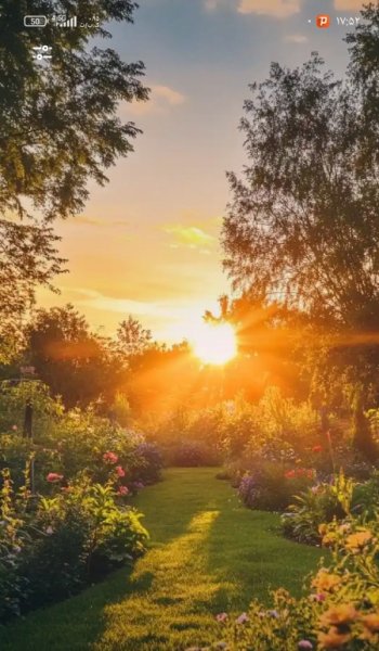  تصویر زمینه موبایل باکلاس