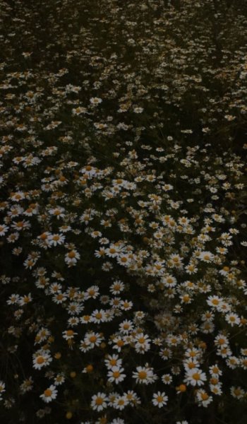  تصویر زمینه موبایل باکلاس