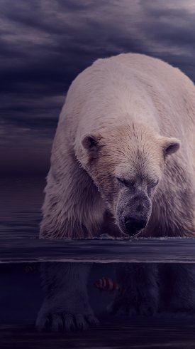  تصویر زمینه گوشی سامسونگ جدید