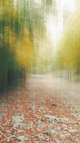  تصویر زمینه گوشی سامسونگ جدید