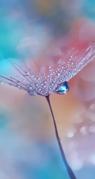  تصویر زمینه گوشی سامسونگ a22