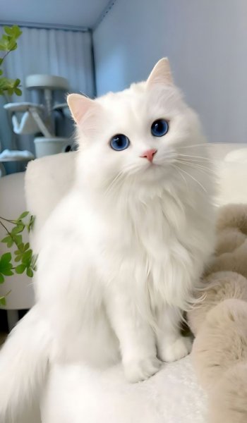  تصویر زمینه دخترانه کیوت