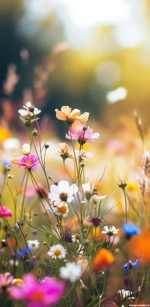  تصویر زمینه دخترانه فانتزی