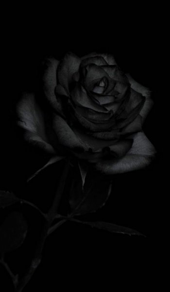  تصویر زمینه مشکی دخترانه خفن